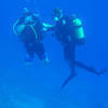 Picture taken during the dive