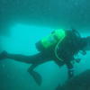 Picture taken during the dive