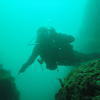 Picture taken during the dive