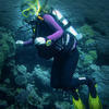 Picture taken during the dive