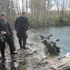Picture taken during the dive