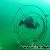Picture taken during the dive