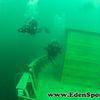 Picture taken during the dive