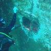 Picture taken during the dive