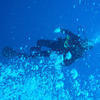 Picture taken during the dive