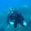 Picture taken during the dive