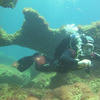 Picture taken during the dive