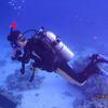 Picture taken during the dive