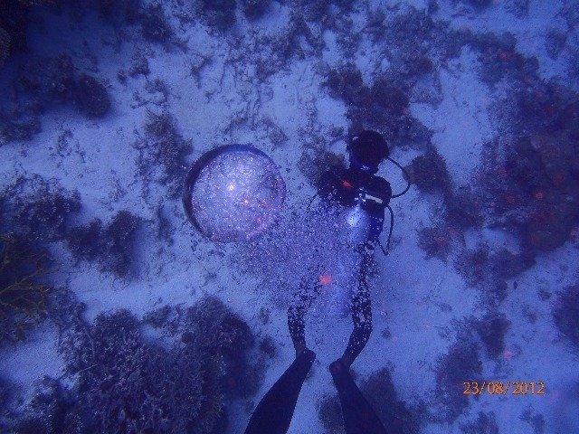 Best Dives Centara - Dive Center