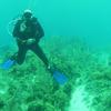Picture taken during the dive