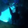 Picture taken during the dive