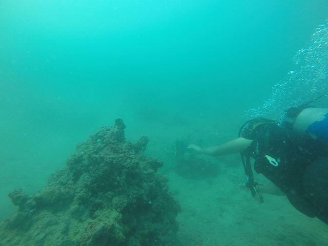 Apple Dive Center - Dive Center