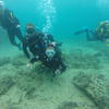 Picture taken during the dive