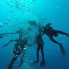 Picture taken during the dive