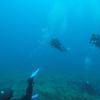 Picture taken during the dive