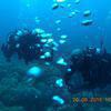 Picture taken during the dive