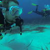 Picture taken during the dive