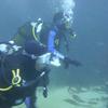Picture taken during the dive