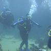 Picture taken during the dive