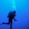 Picture taken during the dive