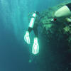 Picture taken during the dive