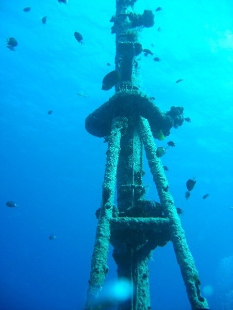 Diving in Port Louis, Mauritius - By Dave Pardoe