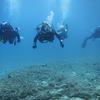 Picture taken during the dive