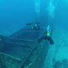 Picture taken during the dive