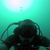 Picture taken during the dive