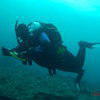 Picture taken during the dive