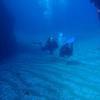 Picture taken during the dive