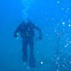 Picture taken during the dive