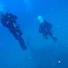 Picture taken during the dive