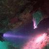 Picture taken during the dive
