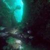 Picture taken during the dive