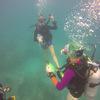 Picture taken during the dive