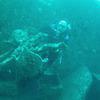 Picture taken during the dive