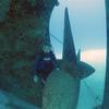 Picture taken during the dive