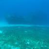 Picture taken during the dive