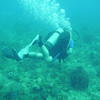 Picture taken during the dive