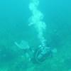 Picture taken during the dive
