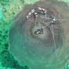 Picture taken during the dive