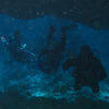 Picture taken during the dive