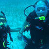 Picture taken during the dive