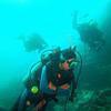 Picture taken during the dive