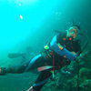 Picture taken during the dive