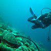 Picture taken during the dive