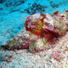 Picture taken during the dive