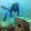 Picture taken during the dive