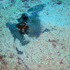 Picture taken during the dive